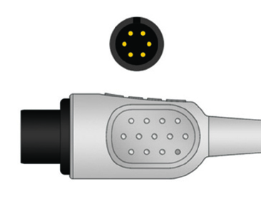 Bionet_1