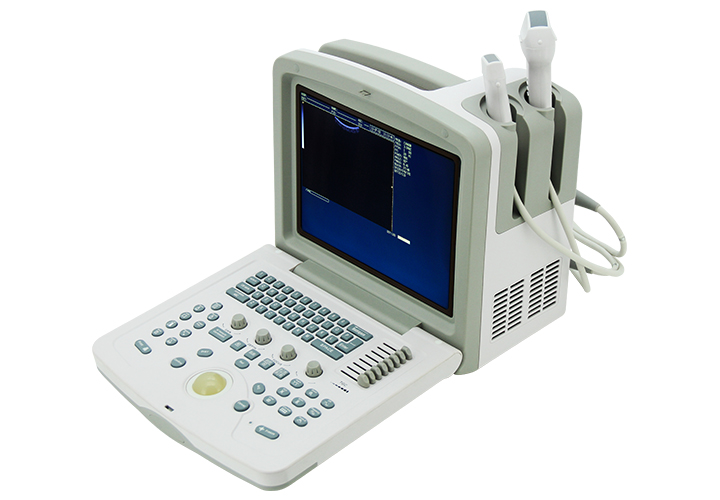 CMS600B-3